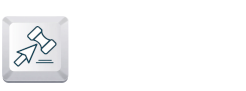 Leilão Online